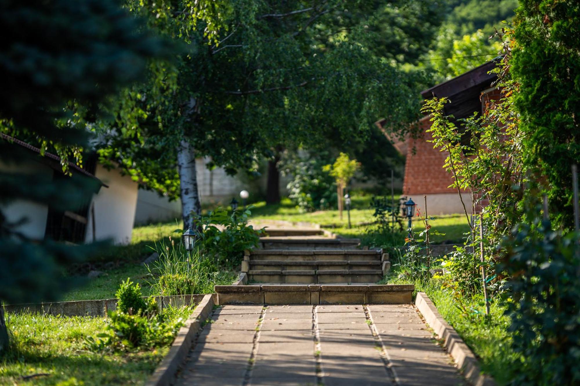Комплекс Асеневци Otel Tsareva Livada Dış mekan fotoğraf